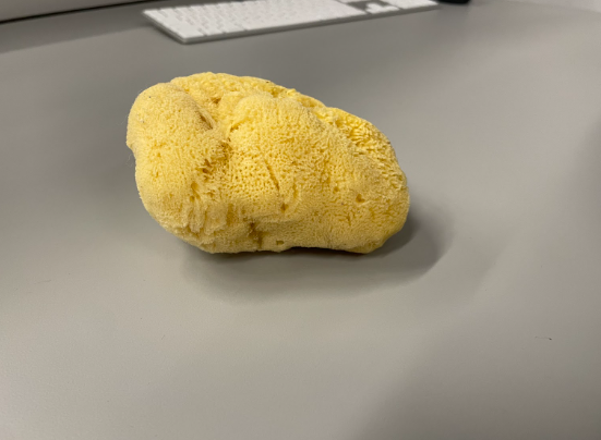 Object 3 - Sponge 
State: raw

Plasticity: pliable

Material Use: cleaning, art, medical, industrial 
